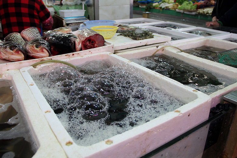 菜市場(chǎng)生鮮水產(chǎn)魚類 從市井煙火到餐桌美食的鮮活圖景